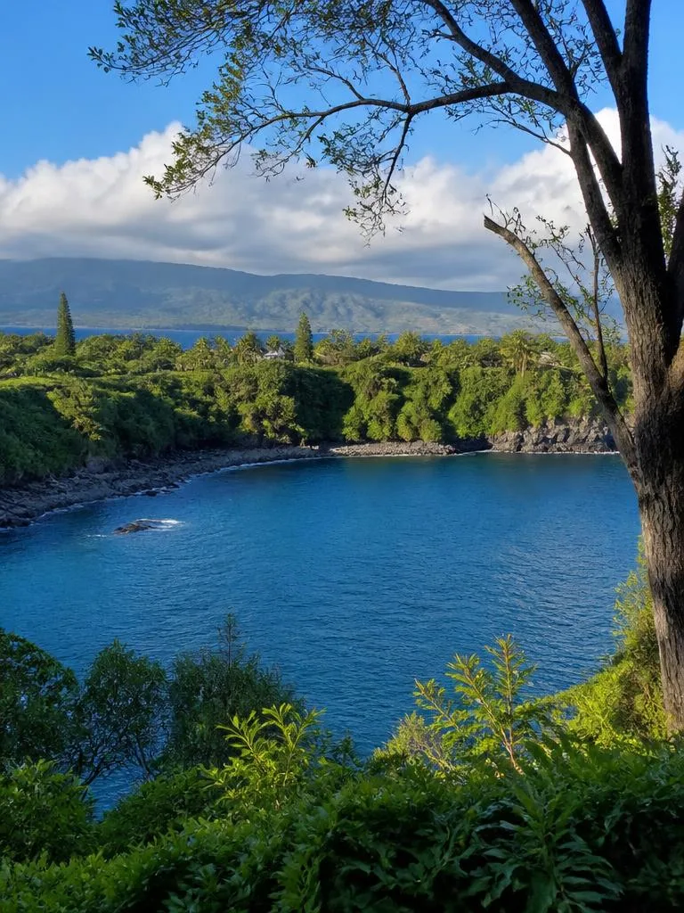 Honolua
