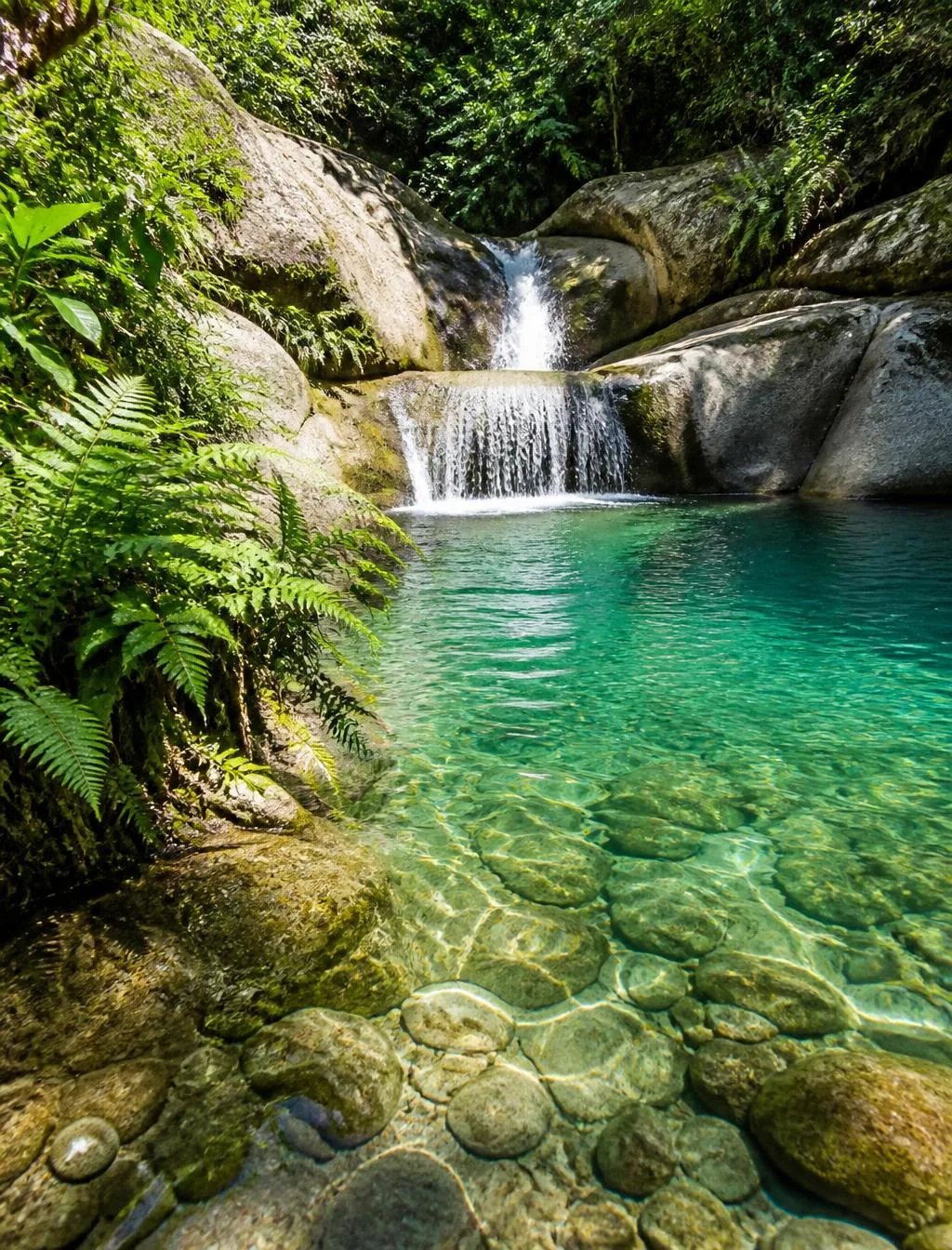 Stepping Water