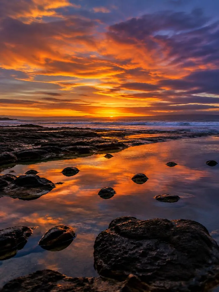 Tidepool Fire
