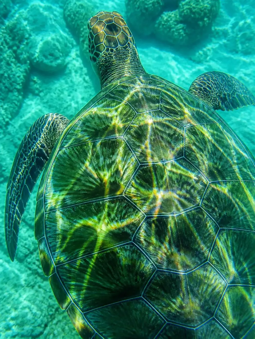 Emerald Mosaic