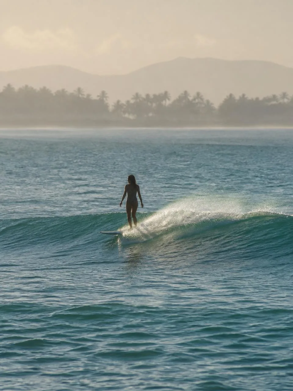 The Surfer