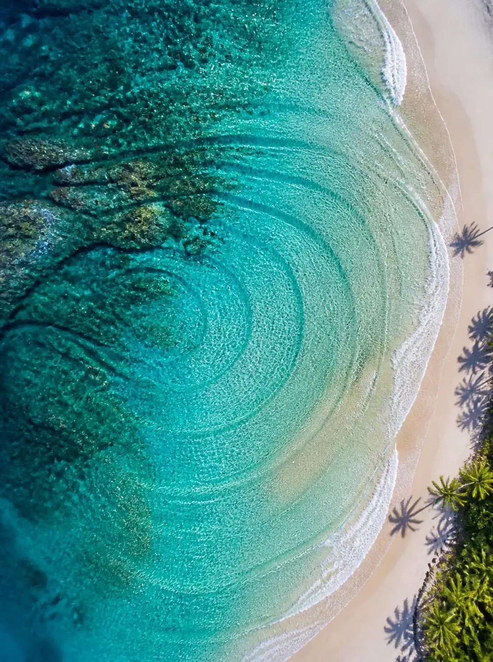 Aerial Swirl